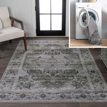 Alanya Ornate Medallion Washable Area Rug
